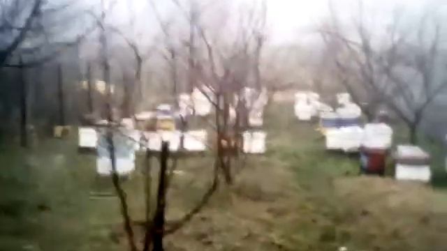 сегодня на пасеке в Крыму 17.02.2018г смотреть онлайн