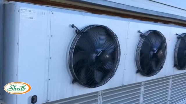 Хранение овощей. Крестьянское хозяйство Михаила Шруба смотреть онлайн