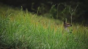 10_Важная роль воды и соли,_Барбара Онил