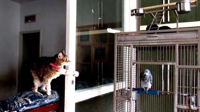 Клюква смотреть онлайн