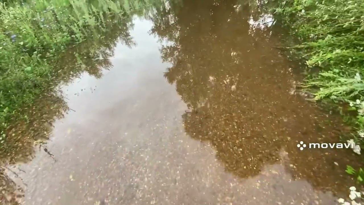 1 августа 2024 года кто то дважды устроил мне сюрприз смотреть онлайн