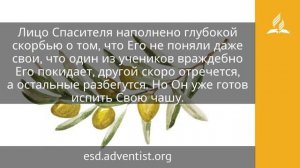 22 апреля 2025 Предательство Иуды. Под сенью благодати. Адвентисты