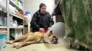 Печальные новости 1 марта