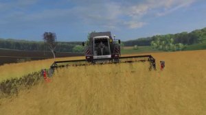 FS-17 Chercashina #5 | Vector 410 | Уборка рапса