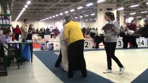 Эмир - лучший юниор Моно РЧТ ранга ПК в Питере, эксперт Лизбет Мах