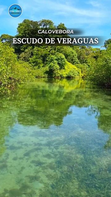 Trail de Playa Isla Escudo de Veraguas Y Cascadas las Golondrinas #panama #naturaleza #playa смотреть онлайн