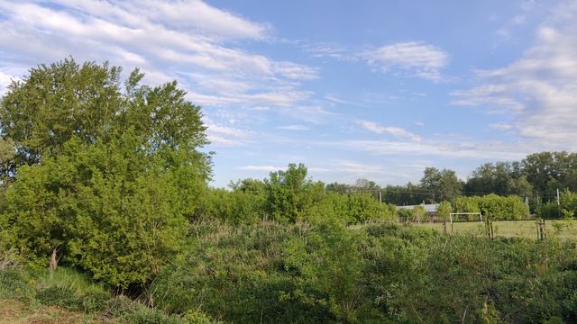 Деревенское поле, деревенская природа