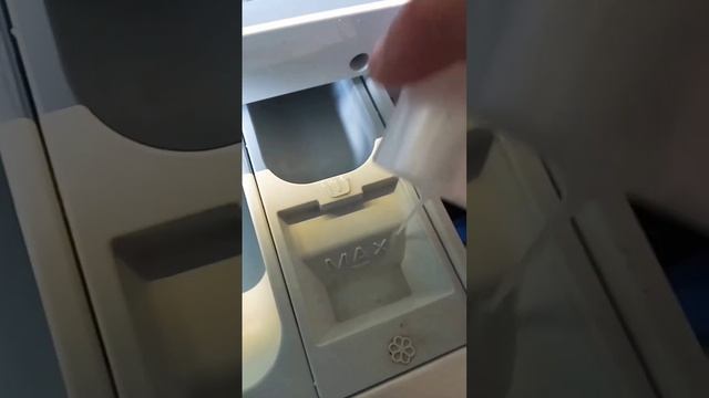 Laundry Everyday - Family of 5 🙌 #laundry #familyof5 #cleanwithme #cleaningmotivation смотреть онлайн