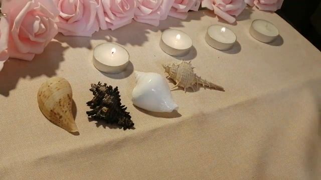 Мой Телеграм канал под этим видео смотреть онлайн