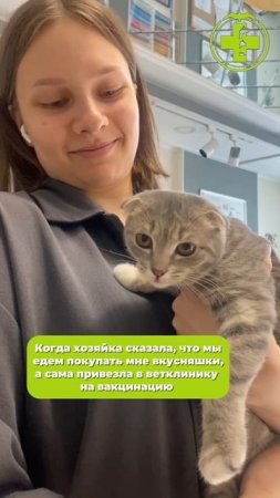 Не ждали такой подвох