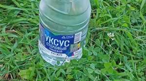Как уксус может спасти и увеличить урожай?