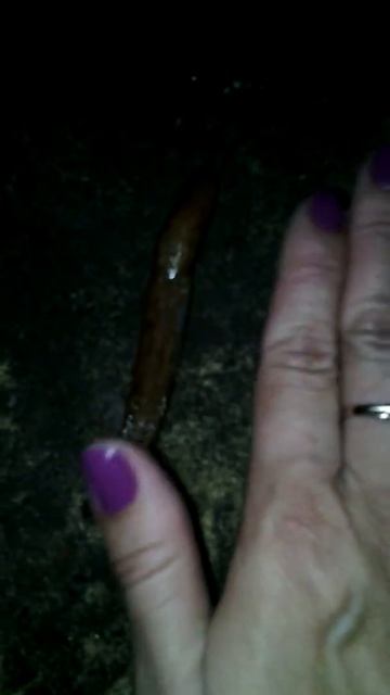 Большой слизняк смотреть онлайн