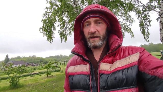 Пополнение на пасеке! Пение маток! смотреть онлайн