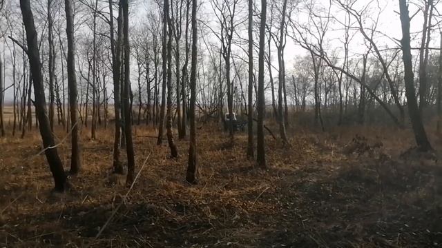За дровами на тракторе BELARUS ЮМЗ-6