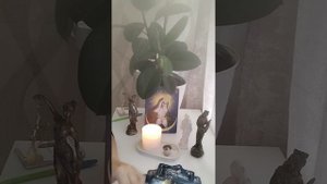 Чей трон власти вы пошатнули !?! Бумеранг 🪃!?!