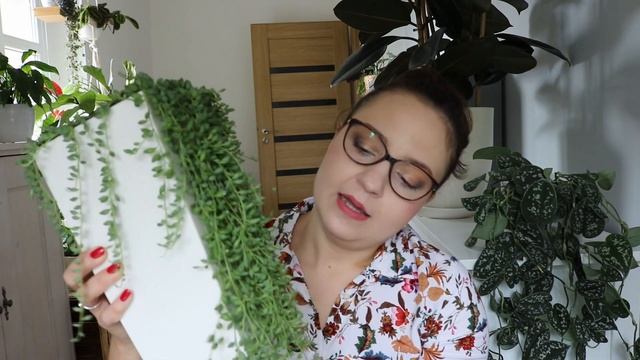 💚💚Siedmiu Wspaniałych - rośliny ładne i nietrudne w obsłudze 💚💚 смотреть онлайн