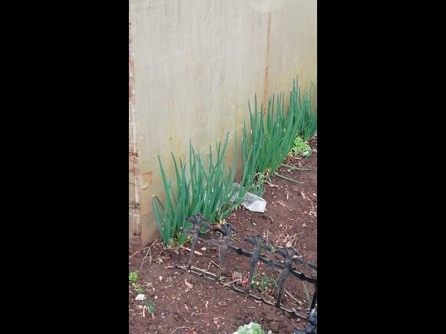 Продолжения ролика "Погода сошла с ума" смотреть онлайн