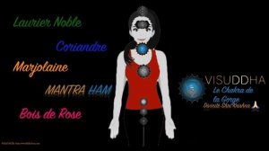 Équilibrer ses Chakras grâce aux Huiles Essentielles