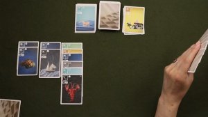 Настольная игра "Море, соль. бумага". Правила + Let's Play.