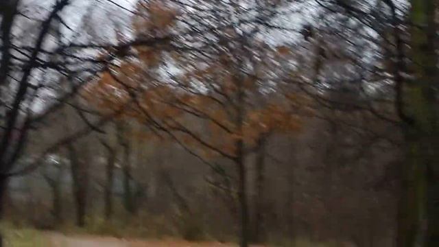 020 04 11 2015 Г СИНИЦЫ смотреть онлайн