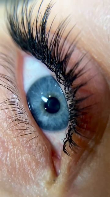 Мокрый эффект С/0,07/2Д смотреть онлайн