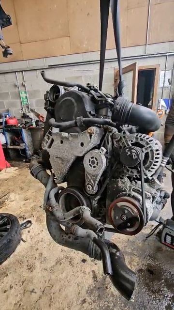 Видео WhatsApp 2025-04-21 в 14.33.31_80dfee5d