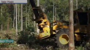 Колесные Валочно-пакетирующая машина tigercat и 724G