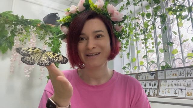 В какой куколке прячется эта бабочкак Идия смотреть онлайн