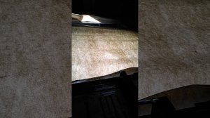 VID_20250421_165934.mp4подьемник