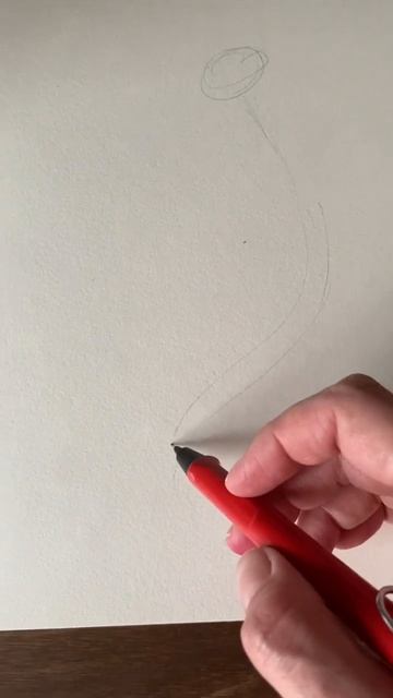 Отгадайте, какого цвета будет тюльпан?🌷 смотреть онлайн