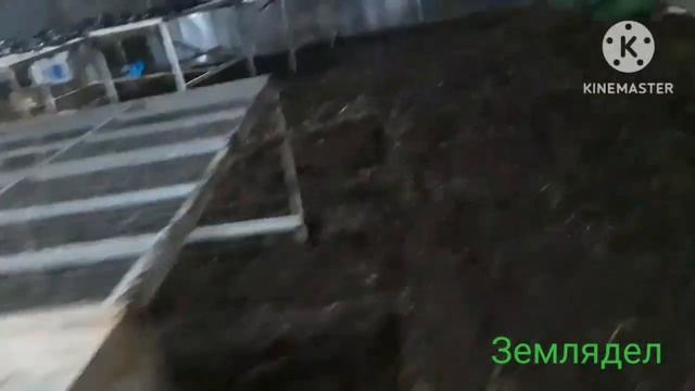 Подготовка к новому сезону. Вспашка теплиц и обработка #землядел #subscribe #огурцывтеплице