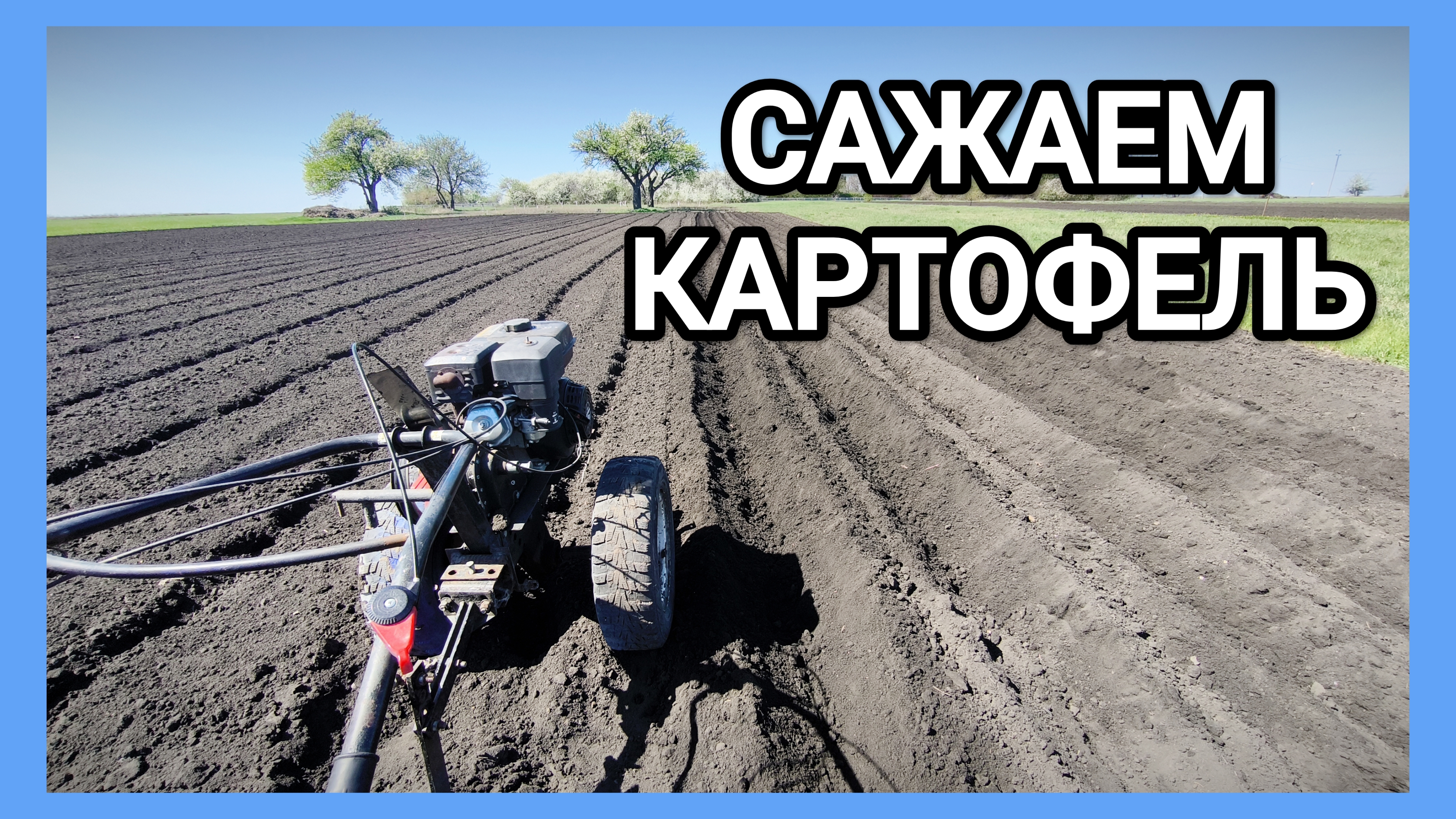 ПОСАДКА КАРТОФЕЛЯ под МОТОБЛОК от А до Я!