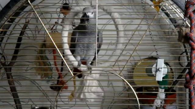 жако моня москва 1,3г просто болтает смотреть онлайн