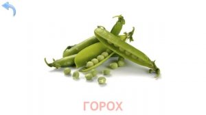 Учим овощи и фрукты для маленких/Teaching vegetables and fruits for kids