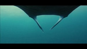 Мария Чайковская - Красота