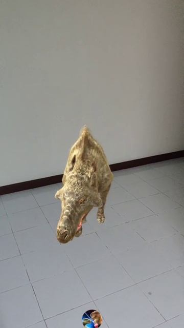 Daeodon Cretaceous  African Warthogs
