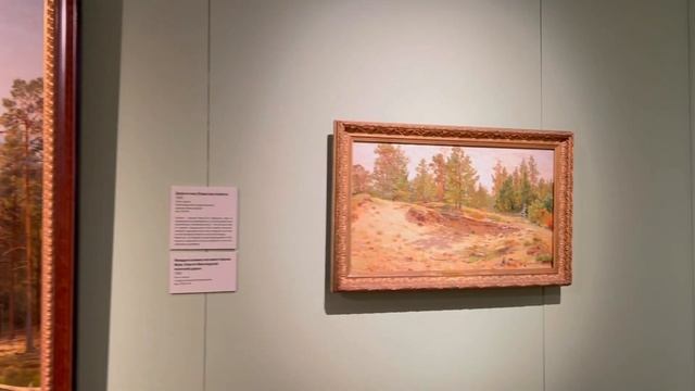 Выставка картин Ивана Шишкина. Приморская государственная картинная галерея. Владивосток. смотреть онлайн