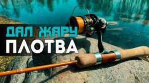 🔥УДАЧНАЯ РЫБАЛКА В АПРЕЛЕ! Плотва, уклейка, окунь, щука – кто клюнет первым?#мормышинг#стритфишинг