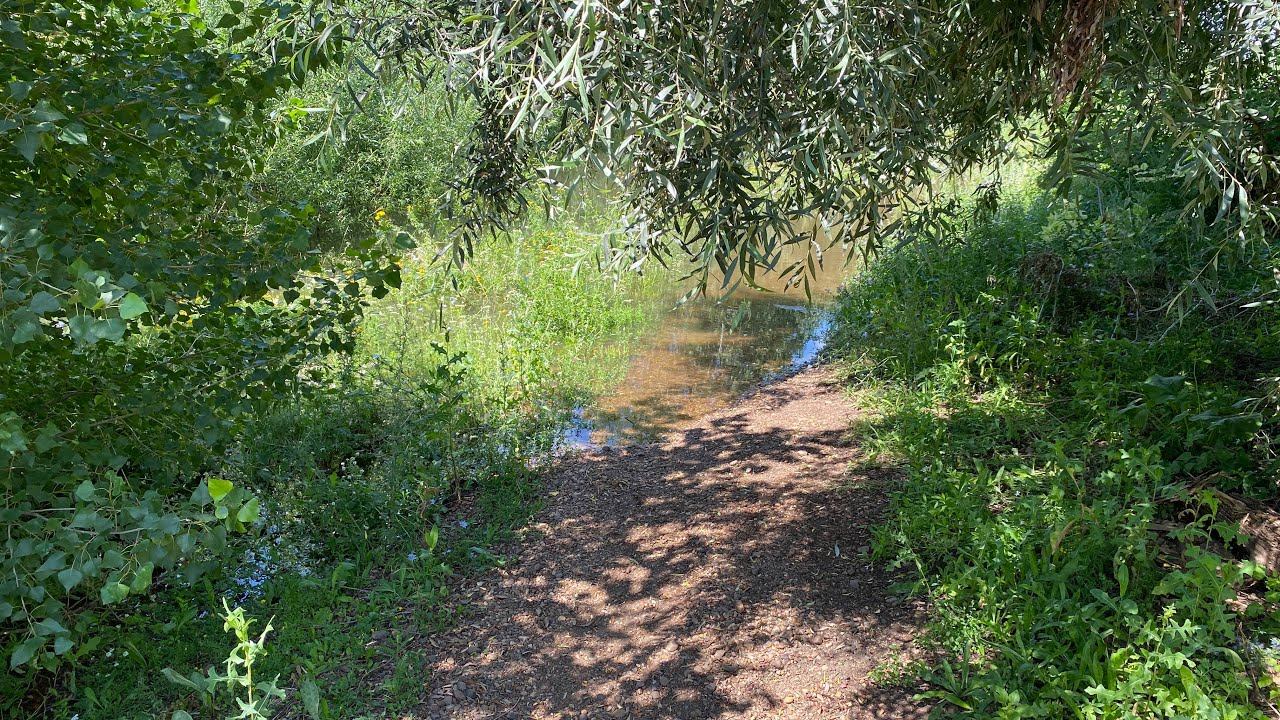 21 августа 2024 г. Уровень воды начал снижаться… смотреть онлайн