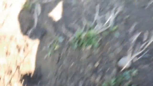 Весеннее известкование пруда!!! Мой пруд на участке!!!
