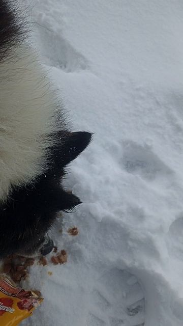 хороший