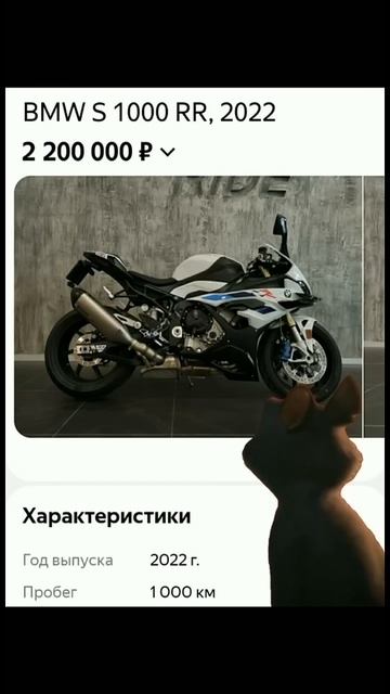 Нынешние цены на мотоциклы bmw  automobile automobile moto motorcycle bmw moto roadtrip