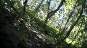 Страйкбол динамическая воскресная игра Airsoft