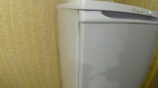 Морозилка Бирюса.Что в моей морозилке_ Обзор с котом Мурзиком)))