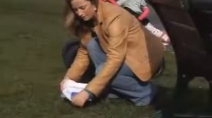 Складной дорожный горшок Potette Plus