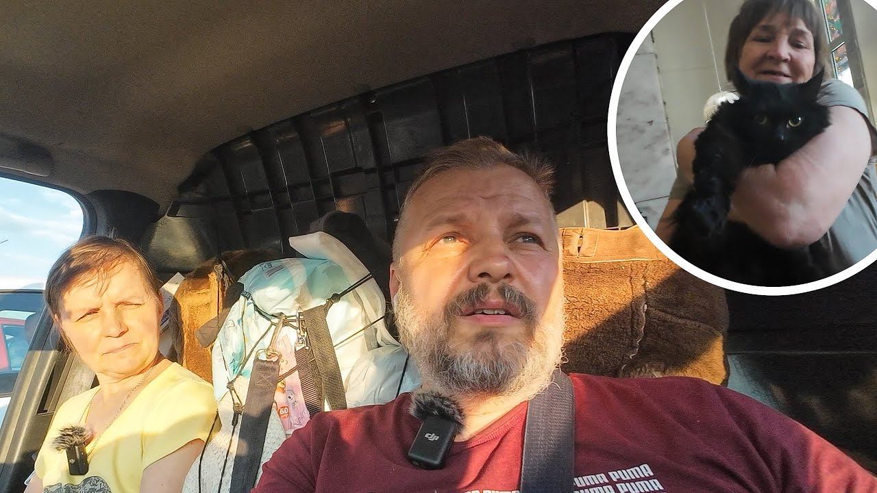 20 кошек ИЗ СЕМЬИ АЛКОГОЛИКОВ. Одна из них попала к нам...