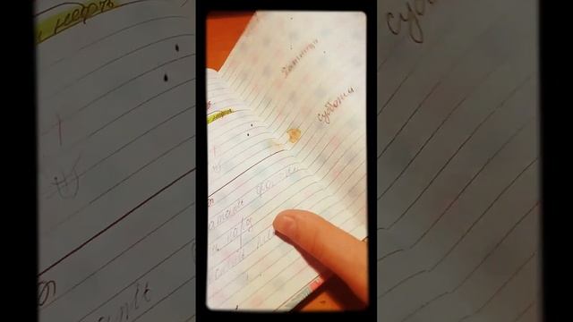 Мой ежедневник и чем я его заполняю