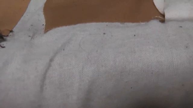 あやちゃんは意外と速く歩く...ハチジョウウスアヤカミキリ смотреть онлайн