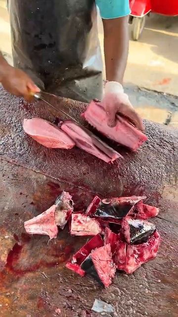 Tuna vs Blade | Soft Cutting Ever | Tuna Fish Slicing and Breaking down into Cubes