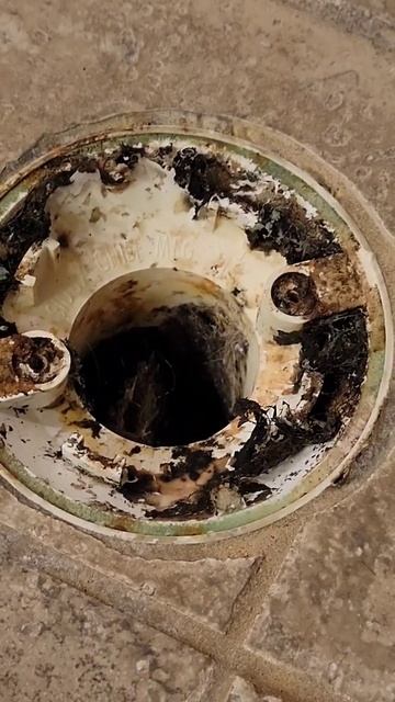 Whats In Your Drain?? #tilecleaning #shower #draincleaning #satisfying смотреть онлайн
